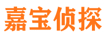 淅川市侦探调查公司